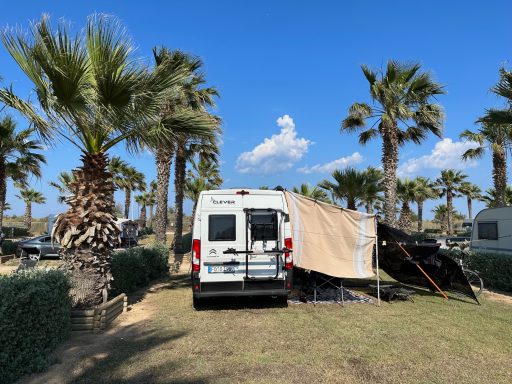 Ein Wohnmobil steht unter Palmen auf einem Campingplatz bei sonnigem Wetter.