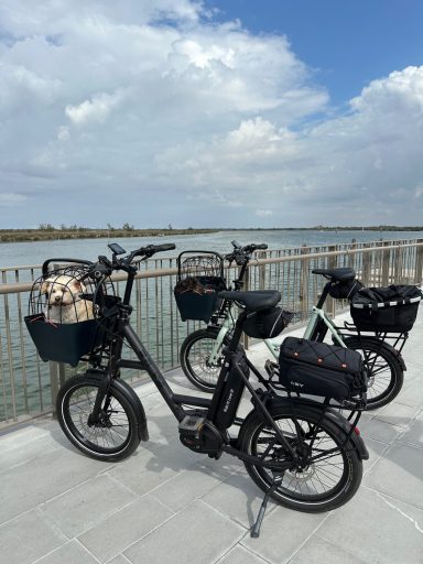 Drei E-Bikes mit Körben stehen an einem Hafen bei sonnigem Wetter.