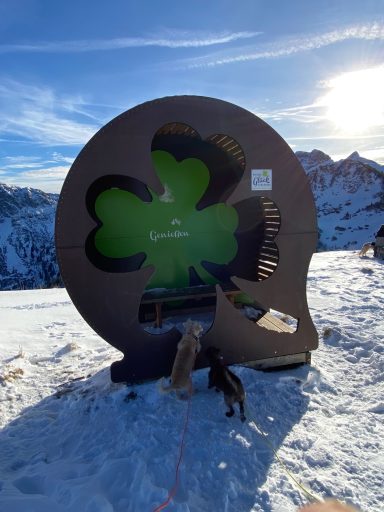 Sitzgelegenheit in Form eines Kleeblatts in verschneiter Berglandschaft.