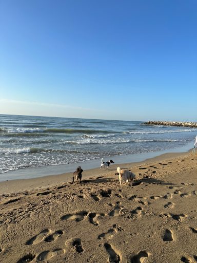 Strand mit Sand, Wellen und zwei Personen, die am Wasser spielen.