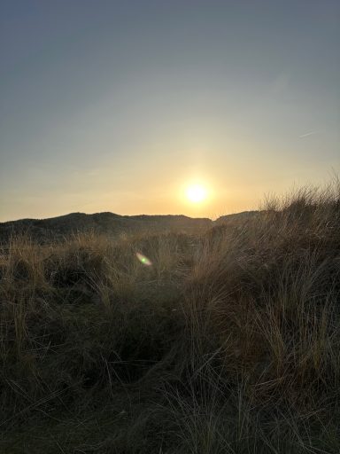 Sonnenuntergang über sanften Hügeln und grünem Gras im Vordergrund.