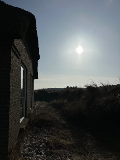 Sonniger Himmel über einer Landschaft, Sicht auf ein Gebäude und Sträucher im Vordergrund.